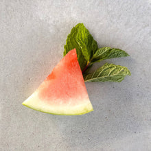 Load image into Gallery viewer, Noble Mick's - Craft Beverage Company - Watermelon Mint Margarita Single Serve Craft Cocktail