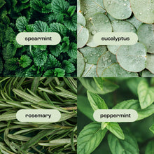 Load image into Gallery viewer, Natural Inspirations - Eucalyptus Rosemary Mint Hand + Body Lotion