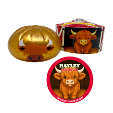Load image into Gallery viewer, Fun Doh Farm Barnyard Squishy Dumpling Toy - 12/Display