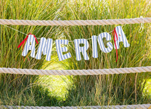 Load image into Gallery viewer, My Mind’s Eye - HAM1204 - America Ticking Fabric Puffy Banner