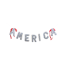 Load image into Gallery viewer, My Mind’s Eye - HAM1204 - America Ticking Fabric Puffy Banner