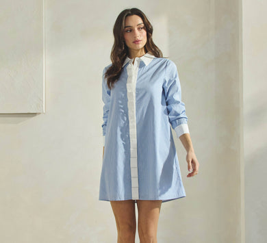 Pinstripe Pleated Mini Dress