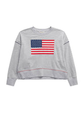Load image into Gallery viewer, American Flag Sweatshirt