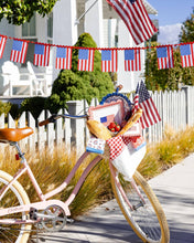 Load image into Gallery viewer, My Mind’s Eye - FLA1240 - Gingham Flag Paper Plate - 10"