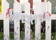 Load image into Gallery viewer, My Mind’s Eye - HAM1204 - America Ticking Fabric Puffy Banner
