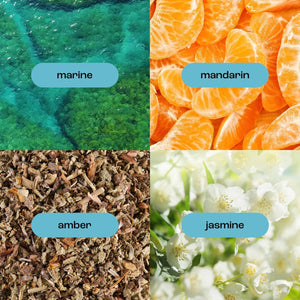 Natural Inspirations - Sea Salt Citrus Glass Hand + Face Wash