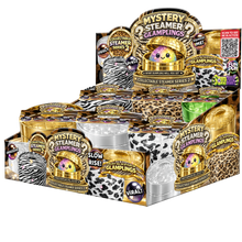 Load image into Gallery viewer, Novelty Brands - Fun Doh SERIES 2 Ultra-Rare Mystery Dumpling Squishy Toy