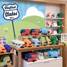 Load image into Gallery viewer, Wisconsin State Stuffed Plush - Tiny Cheese