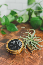 Load image into Gallery viewer, Broken Top Brands - Black Coral Tide Solid Cologne